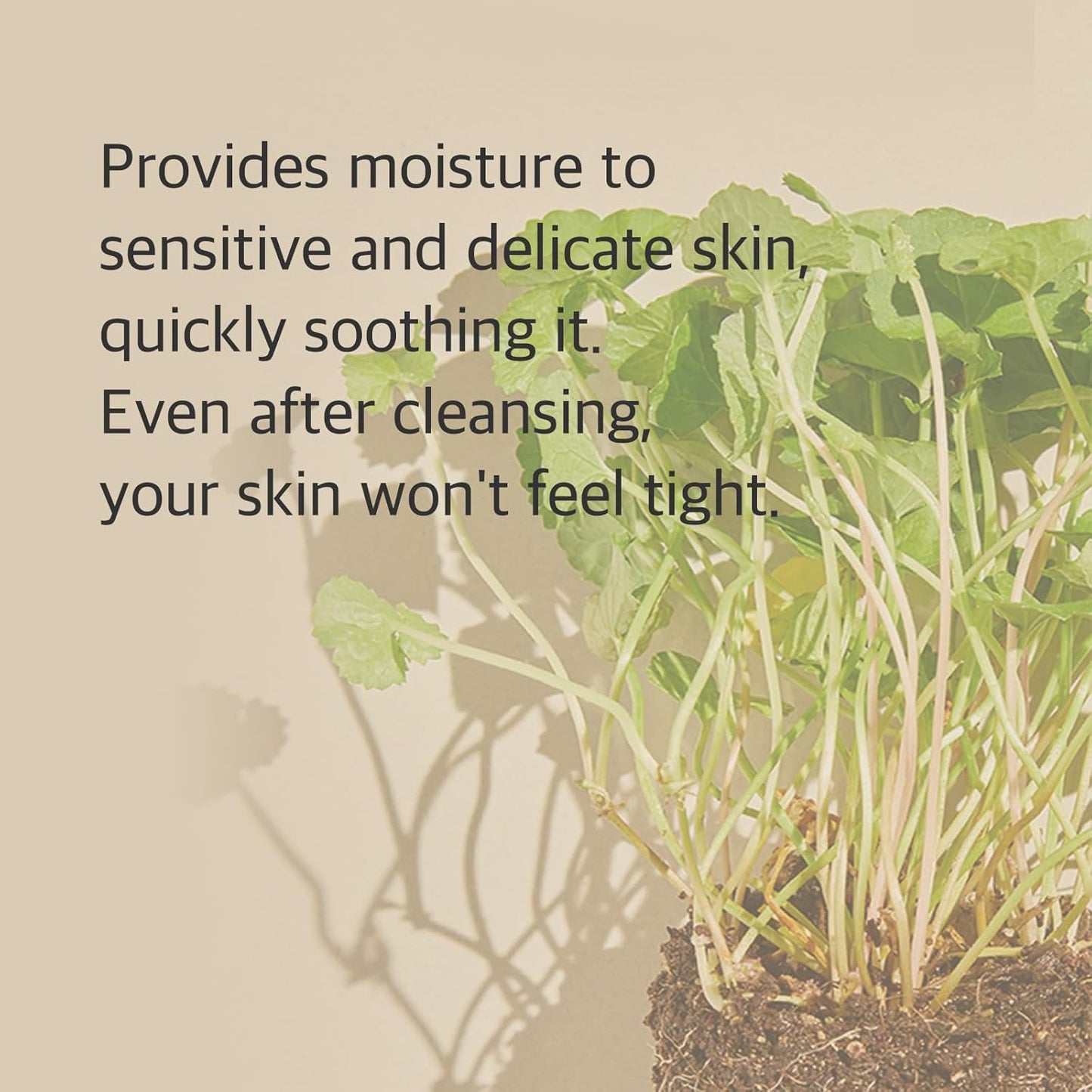 mixsoon Centella Cleansing Foam 5.07 fl oz/ 150ml,Low pH cleansing foam for soothing and moisturization
